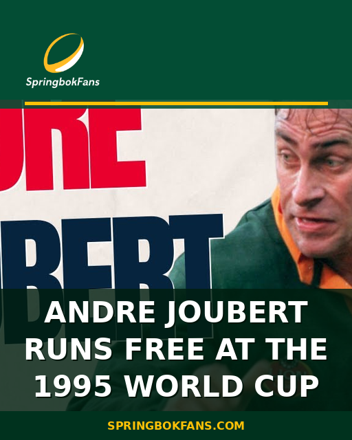 Andre Joubert Runs Free at the 1995 World Cup