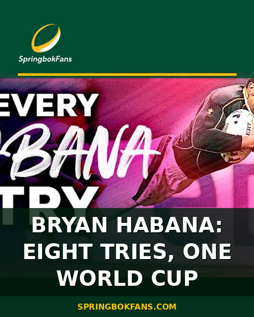 Bryan Habana: Eight Tries, One World Cup