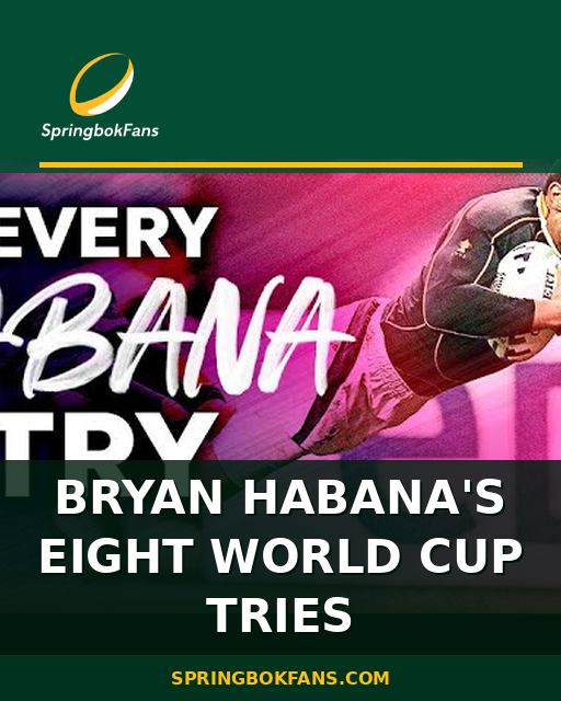 Bryan Habana's Eight World Cup Tries