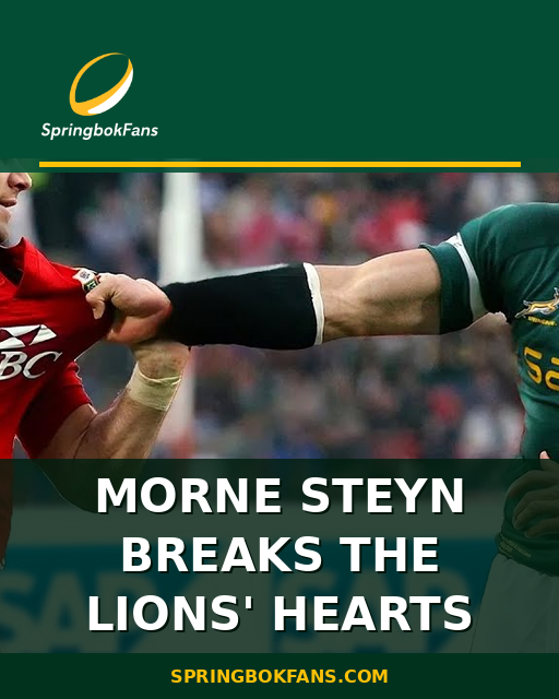 Morne Steyn Breaks the Lions’ Hearts