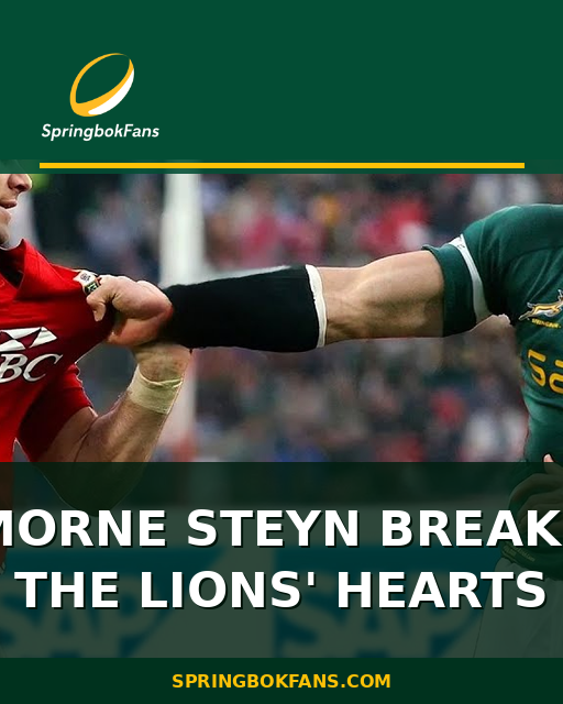 Morne Steyn Breaks the Lions' Hearts