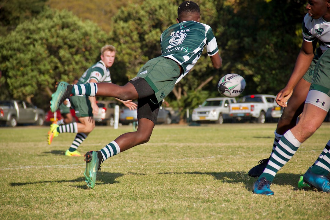 Springbok rugby