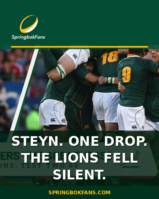 Steyn. One Drop. The Lions Fell Silent.