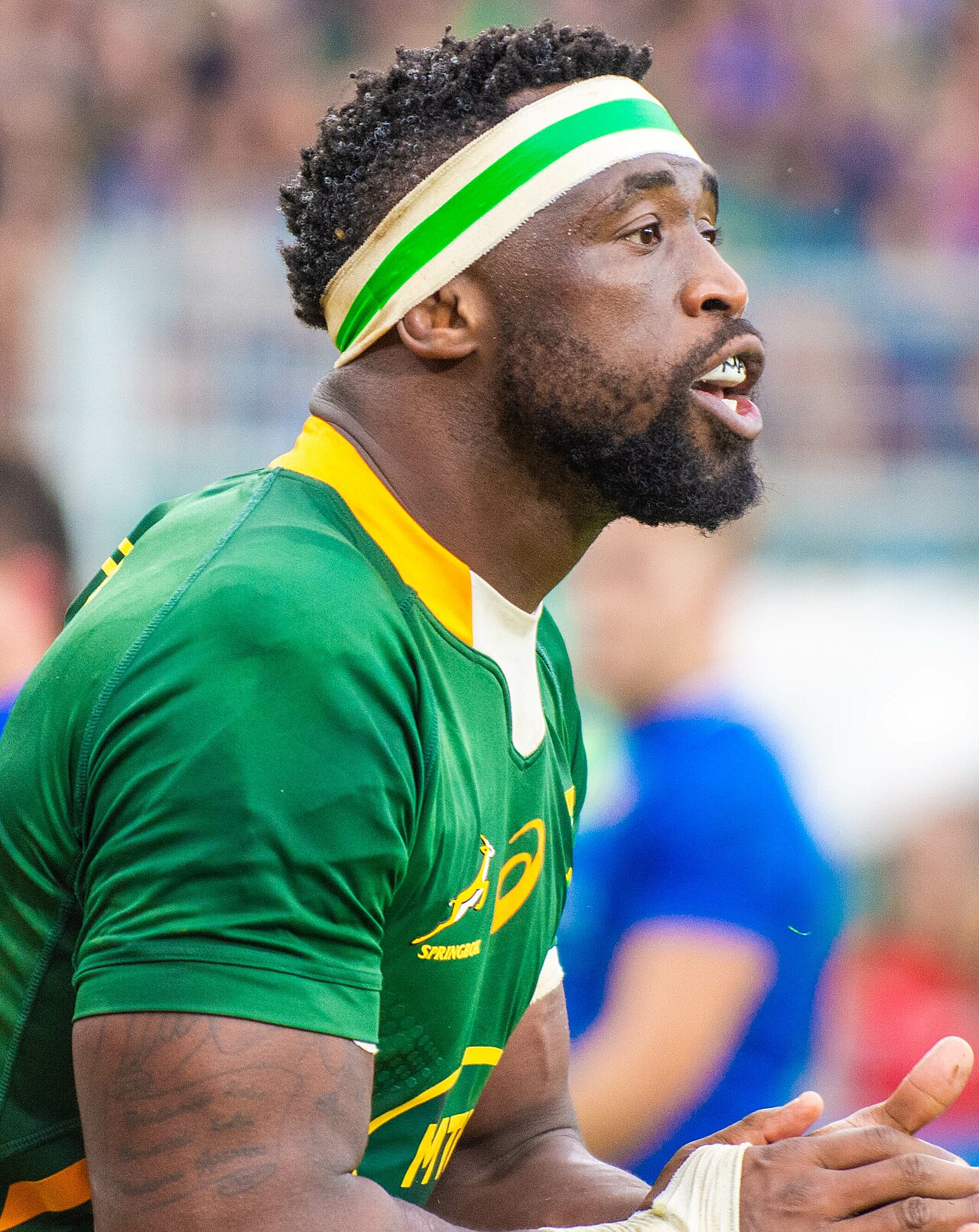 Springbok vs Argentina all time record