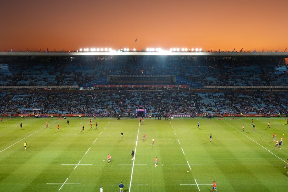 Springbok vs Wales all time record