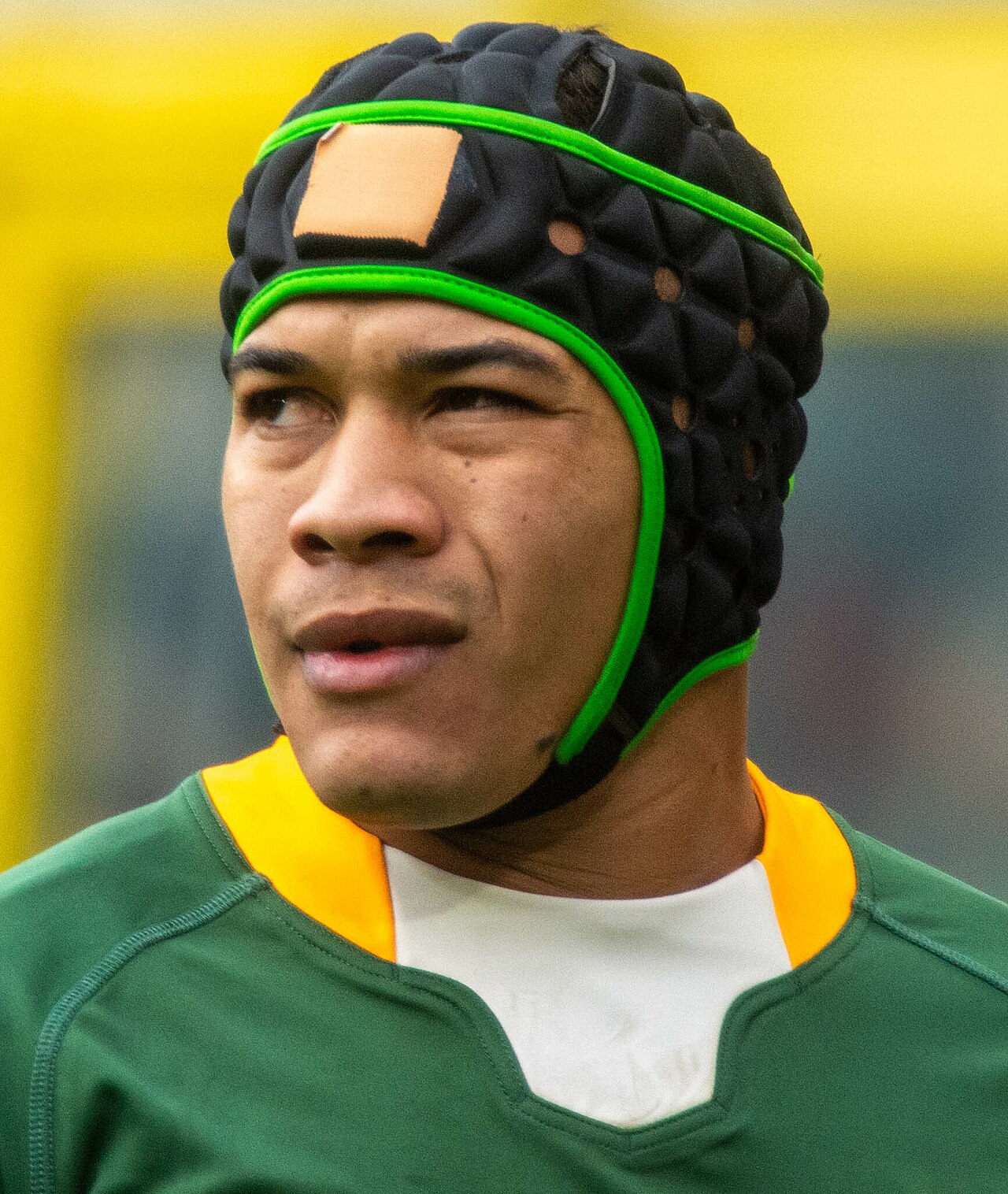 Who is Cheslin Kolbe