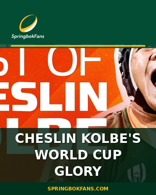 Cheslin Kolbe’s World Cup Glory