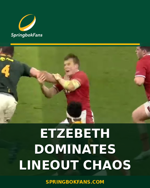 Etzebeth Dominates Lineout Chaos