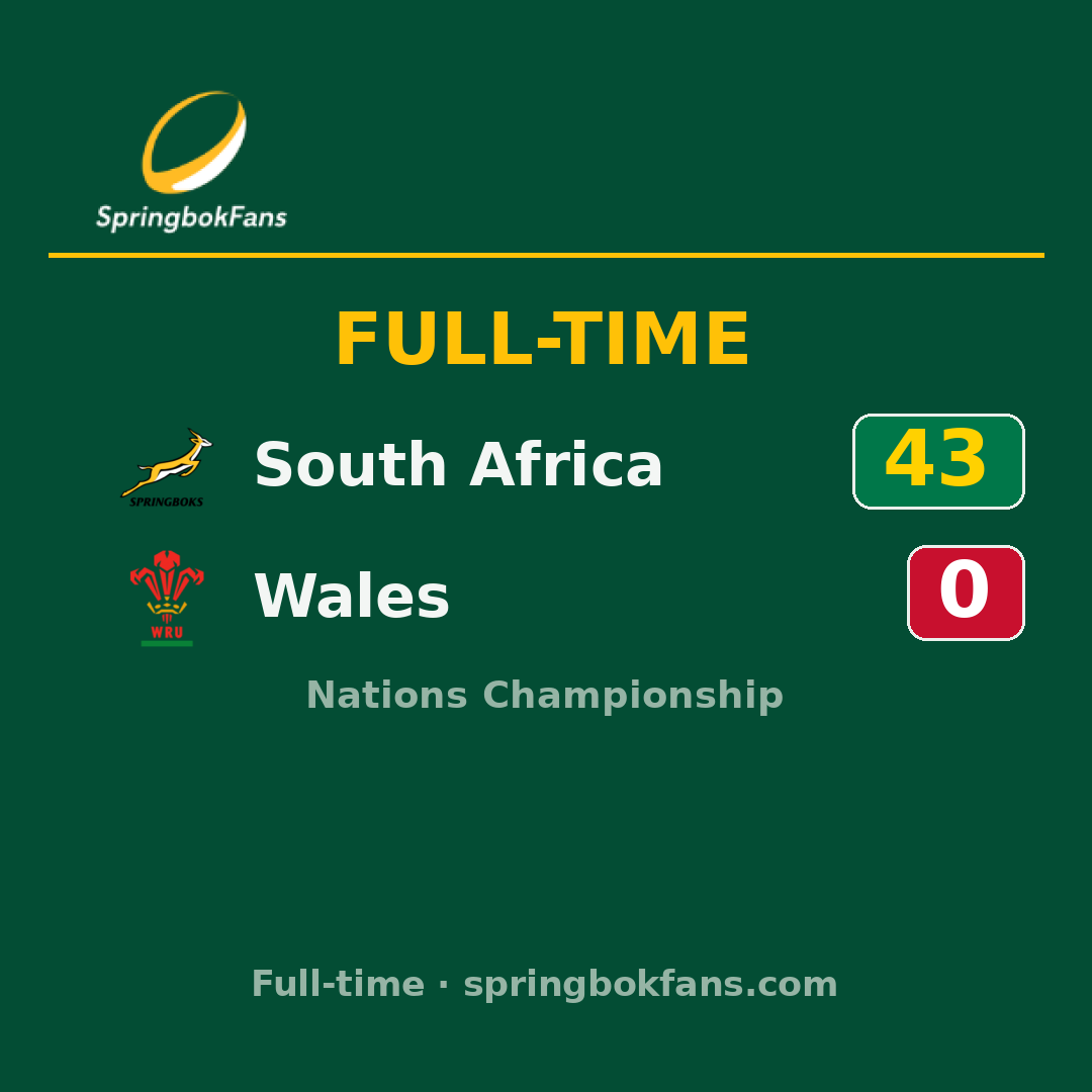 South Africa 43–0 Wales: match report & highlights