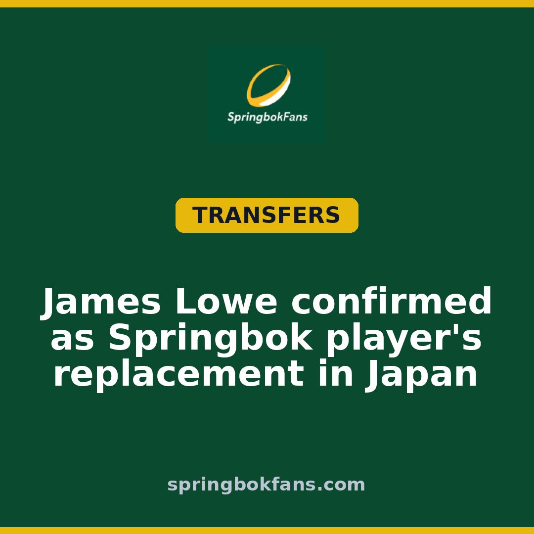 James Lowe confirmed as Springbok player’s replacement in Japan